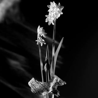 LOUIS VUITTON-MATIÈRE NOIRE EDP-foryou-vente de parfum original au Maroc