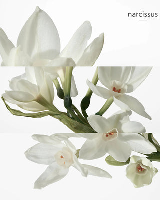 -parfum original Maroc-prix maroc-foryou parfum original-authentique-parfum authentique-prix maroc-original-original perfum-perfume-eau de parfum-eua de toilette-eua de toilette femme-eua de toilette homme-eau de parfum homme-eau de parfum femme-eua de toilette hommes-eua de toilette femme-افضل عطور للنساء-افضل عطور للرجال-عطر جداب-Parfum attrayant-Numéro un au Maroc-رقم واحد في المغرب-foryou parfum où Maroc