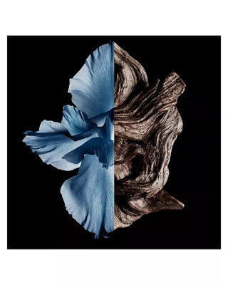 GENTLEMAN EAU DE TOILETTE INTENSE - GIVENCHY -authentique-parfum authentique-prix maroc-original-original perfum-perfume-eau de parfum-eua de toilette-eua de toilette femme-eua de toilette homme-eau de parfum homme-eau de parfum femme-eua de toilette hommes-eua de toilette femmes-افضل عطور للنساء--افضل عطور للرجال-عطر جداب-Parfum attrayant-Numéro un au Maroc-رقم واحد في المغرب-foryou-parfum