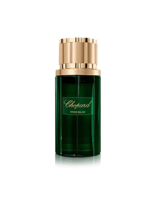 CEDAR MALAKI – CHOPARD foryou.ma | La Destination Ultime pour des Parfums Originaux à des Prix Imbattables au maroc.