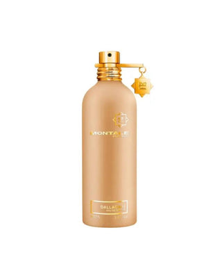 DALLACHAI – MONTALE foryou.ma | La Destination Ultime pour des Parfums Originaux à des Prix Imbattables au maroc.
