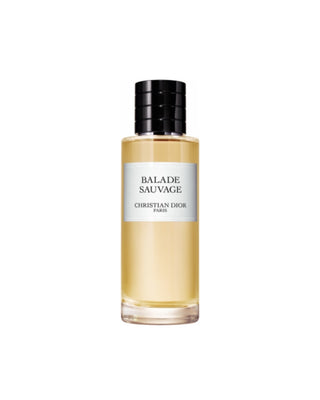 CHRISTIAN DIOR-BALADE SAUVAGE Eau De Parfum - UNISEX-parfum original Maroc-prix maroc-foryou parfum original-authentique-parfum authentique-prix maroc-original-original perfum-perfume-eau de parfum-eua de toilette-eua de toilette femme-eua de toilette homme-eau de parfum homme-eau de parfum femme-eua de toilette hommes-eua de toilette femme-افضل عطور للنساء-افضل عطور للرجال-عطر جداب-Parfum attrayant-Numéro un au Maroc-رقم واحد في المغرب-foryou parfum où Maroc