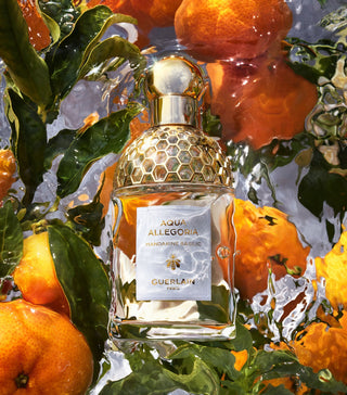 GUERLAIN - AQUA ALLEGORIA MANDARINE BASILIC - Eau De Toilette-foryou-vente de parfum original au Maroc
