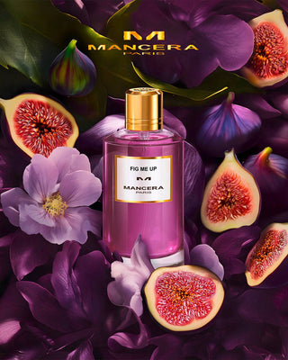 FIG ME UP – MANCERA