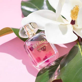 CELEBRATE N.O.W. Eau De Parfum – ESCADA