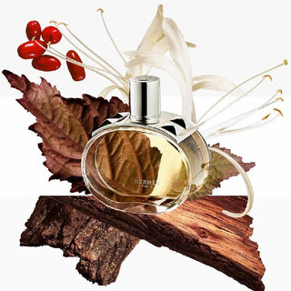 BARÉNIA Eau de Parfum – HERMÈS
