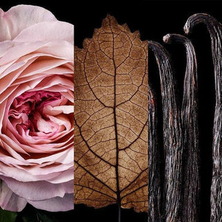 GOOD GIRL BLUSH ELIXIR Eau De Parfum – CAROLINA HERRERA