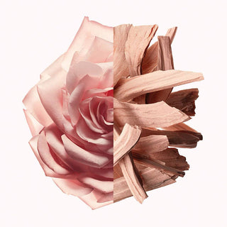 IRRESISTIBLE NUDE VELVET Eau De Parfum – GIVENCHY