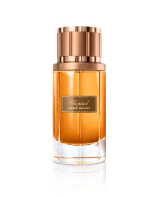 CHOPARD – AMBER MALAKI Pour Homme et Femme-authentique-parfum authentique-prix maroc-original-original perfum-perfume-eau de parfum-eua de toilette-eua de toilette femme-eua de toilette homme-eau de parfum homme-eau de parfum femme-eua de toilette hommes-eua de toilette femmes-افضل عطور للنساء--افضل عطور للرجال-عطر جداب-Parfum attrayant-Numéro un au Maroc-رقم واحد في المغرب-foryou-parfum