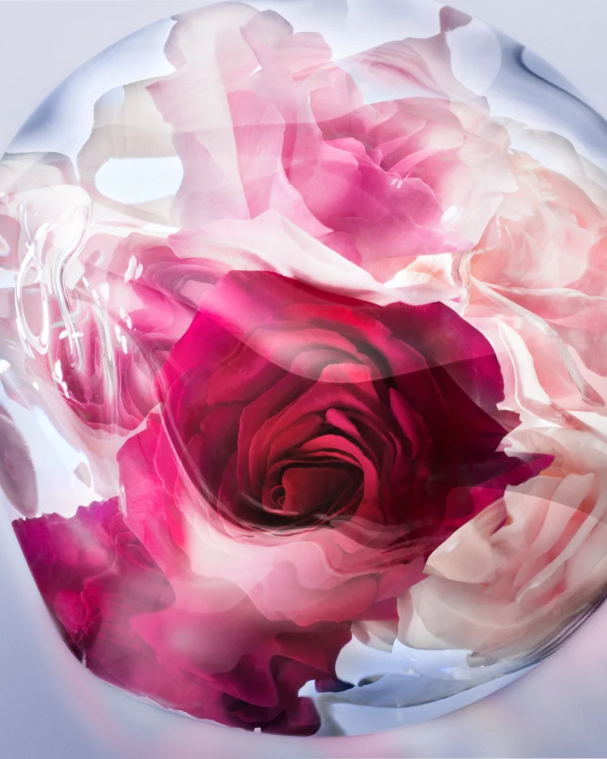 LA VIE EST BELLE ROSE EXTRAORDINAIRE – LANCÔME foryou.ma | vente de parfum original au Maroc pour homme et femme – Vous cherc