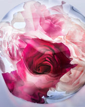 LA VIE EST BELLE ROSE EXTRAORDINAIRE – LANCÔME foryou.ma | vente de parfum original au Maroc pour homme et femme – Vous cherc