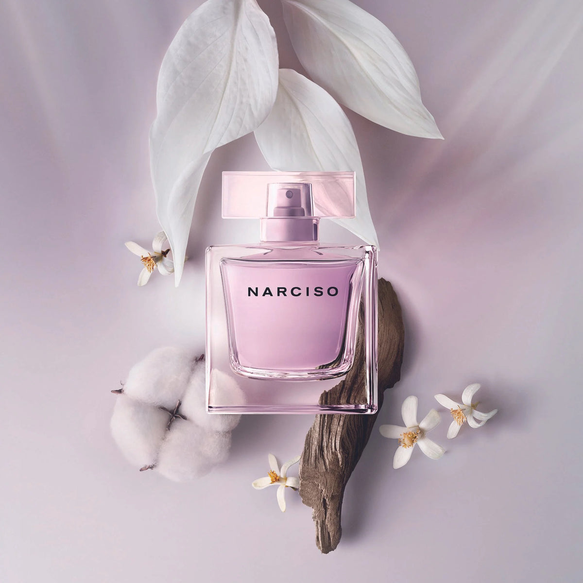 NARCISO Eau de Parfum RABIANTE – NARCISO RODRIGUEZ