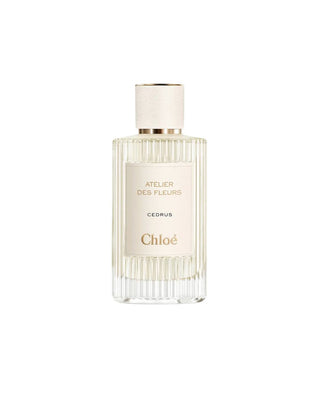 CHLOÉ – ATELIER DES FLEURS CEDRUS foryou.ma | vente de parfum original au Maroc pour homme et femme.