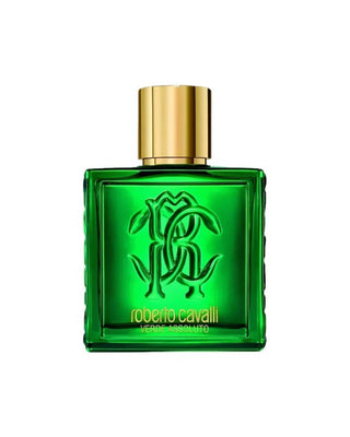 UOMO VERDE ASSOLUTO – Roberto Cavalli foryou.ma | La Destination Ultime pour des Parfums Originaux à des Prix Imbattables au maroc.
