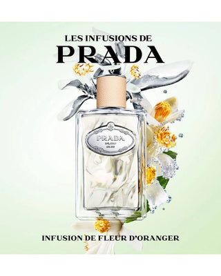 INFUSION DE FLEUR D'ORANGER – PRADA