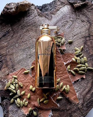 AOUD LEATHER – MONTALE
